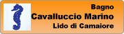 Cavalluccio Marino