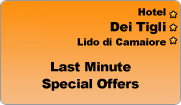 Hotel Dei Tigli