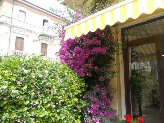 Agenzia Immobiliare Battisti a Viareggio