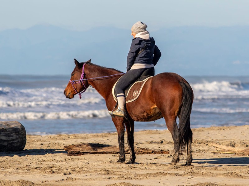 Azienda Agricola “Il Paese Delle Meraviglie”