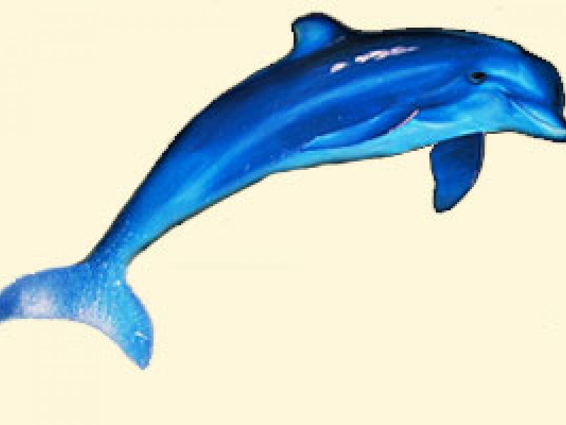 Delfino Immobiliare