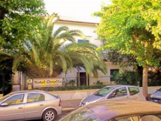 Hotel Ornella a Lido di Camaiore